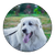 User avatar 4