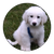 User avatar 2