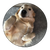 User avatar 1